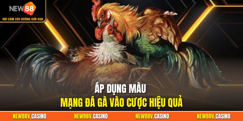 Áp dụng màu mạng đá gà vào cược hiệu quả