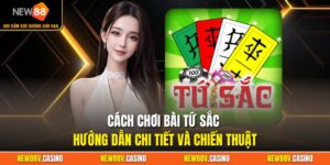 Cách Chơi Bài Tứ Sắc - Hướng Dẫn Chi Tiết Và Chiến Thuật