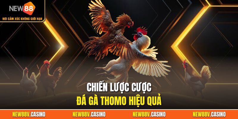 Chiến lược cược đá gà thomo hiệu quả
