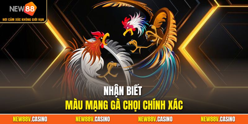 Nhận biết màu mạng gà chọi chính xác