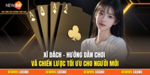 Xì Dách – Hướng Dẫn Chơi Và Chiến Lược Tối Ưu Cho Người Mới
