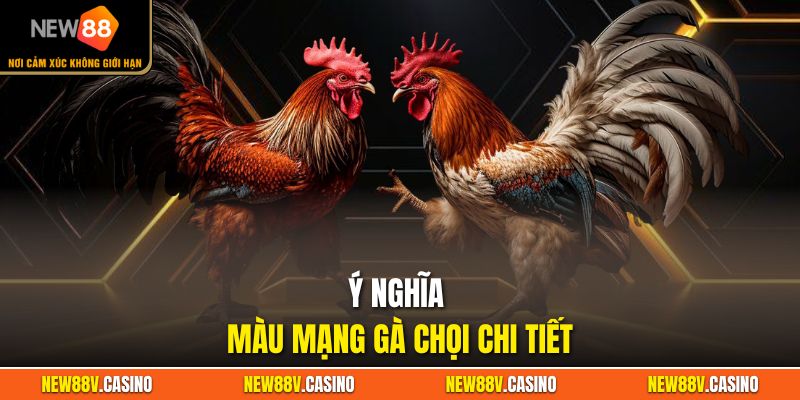 Ý nghĩa màu mạng gà chọi chi tiết